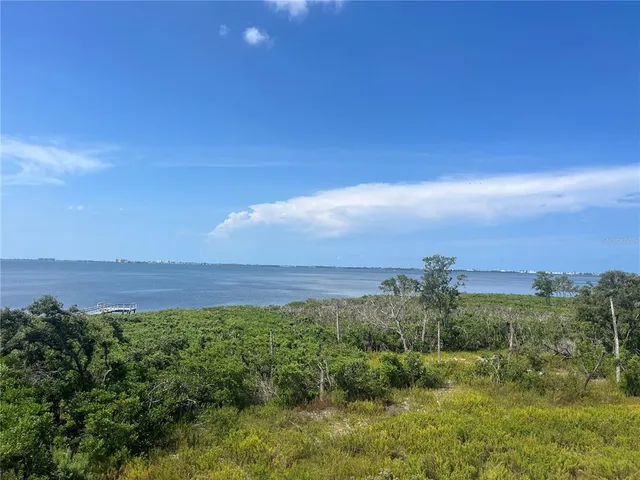 a view of an outdoor space and a yard