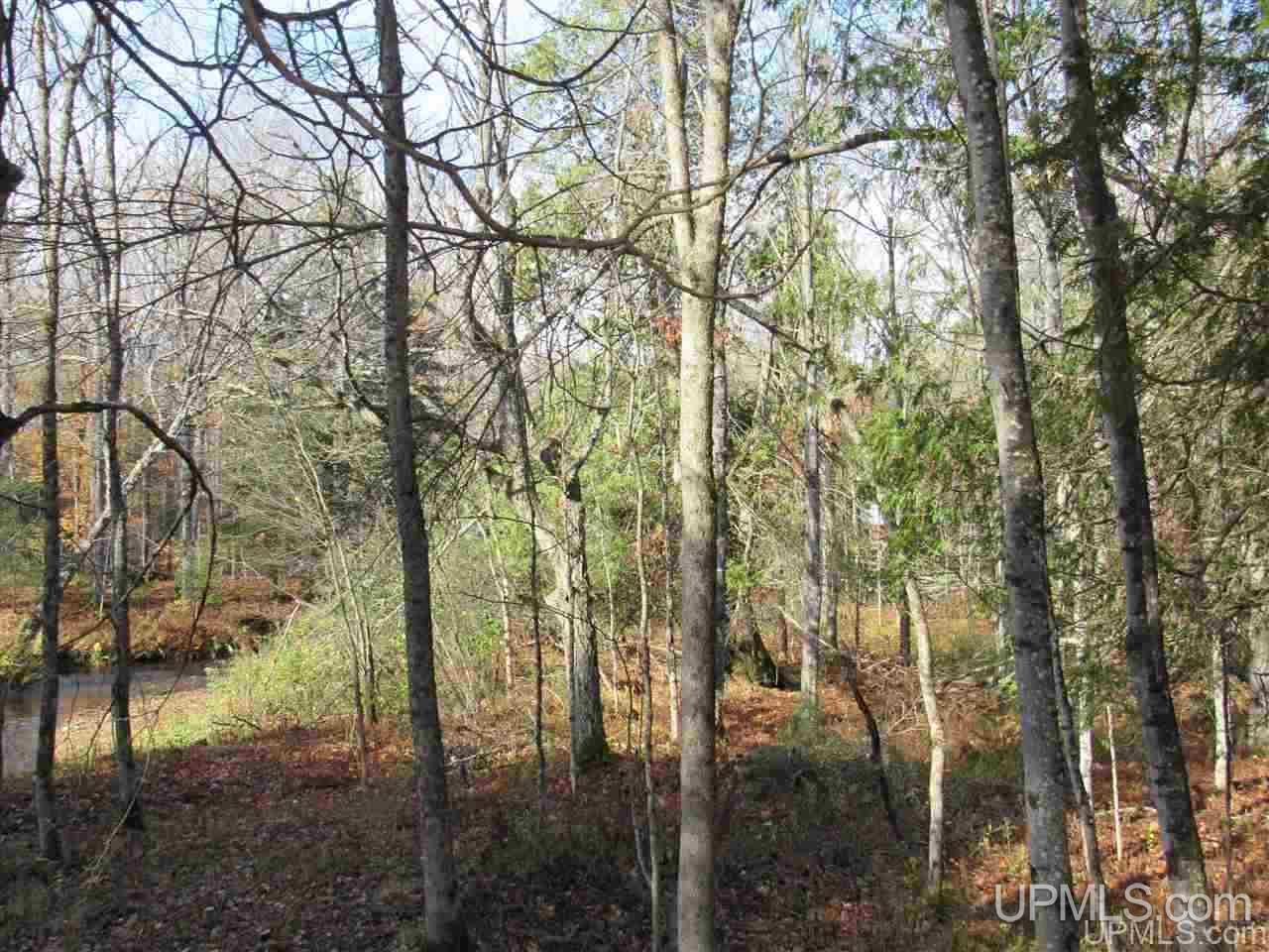 Lot 1 Sicotte Road Skanee, MI 49962 - Photo 17 of 23