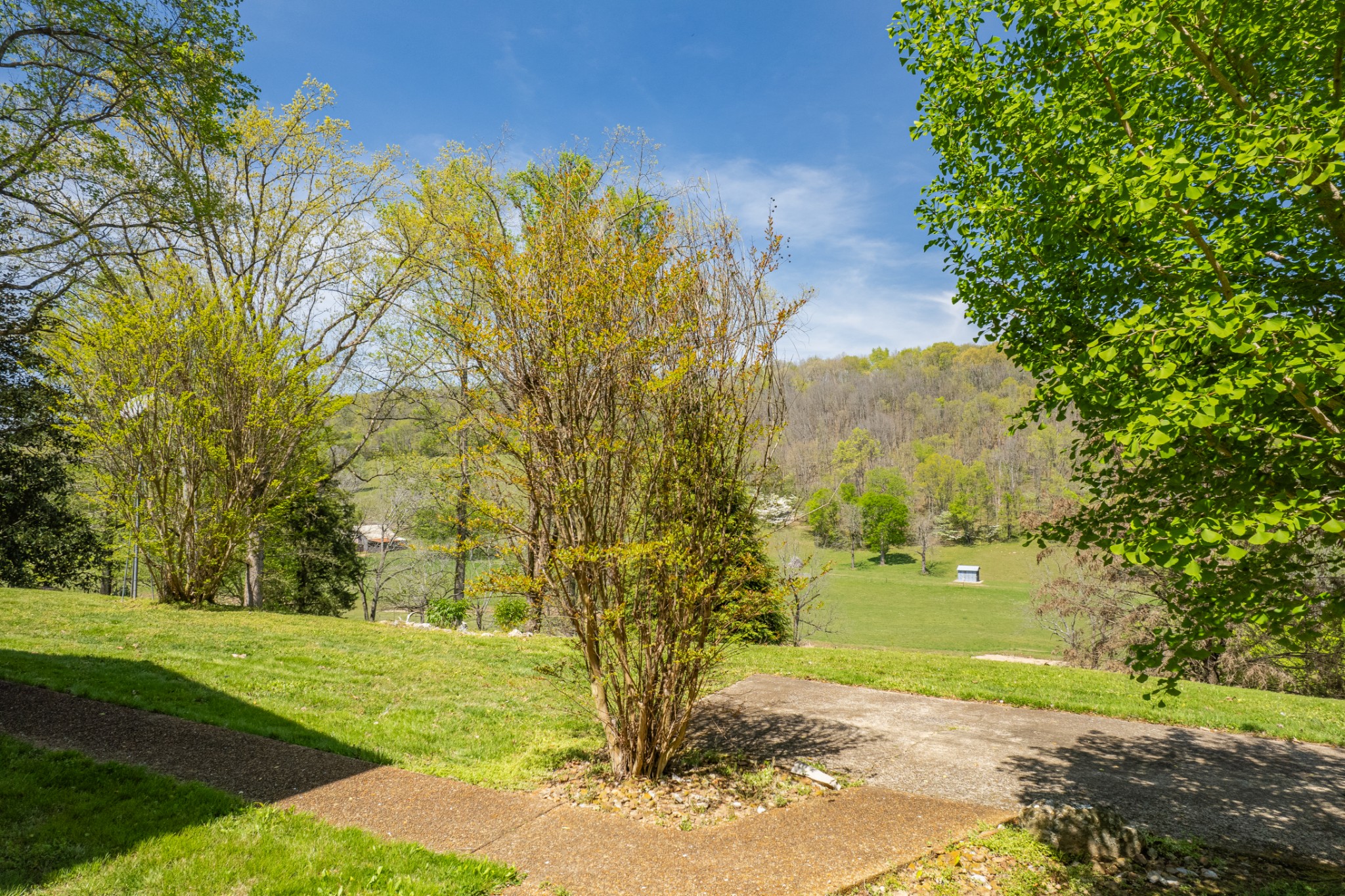 8039 Campbellsville Road Pulaski, TN 38478 - Photo 92 of 100