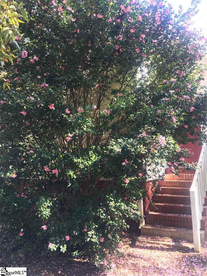 605 North Broad Street Clinton, SC 29325 - Photo 36 of 36 Gallery Image 36