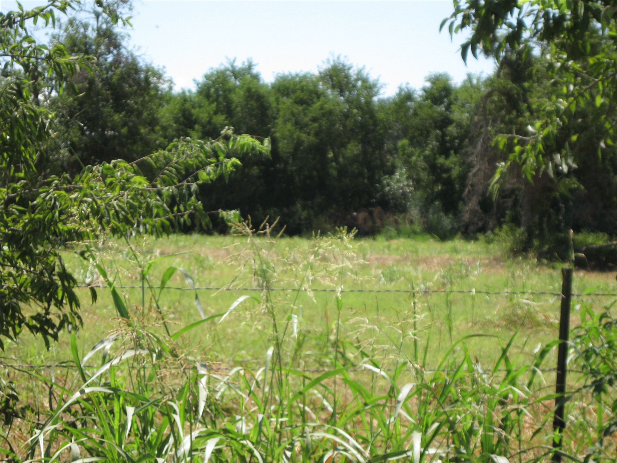 0 County Road 133 Road Hutto, TX 78634 - Photo 1 of 7 a view of swimming pool from a garden