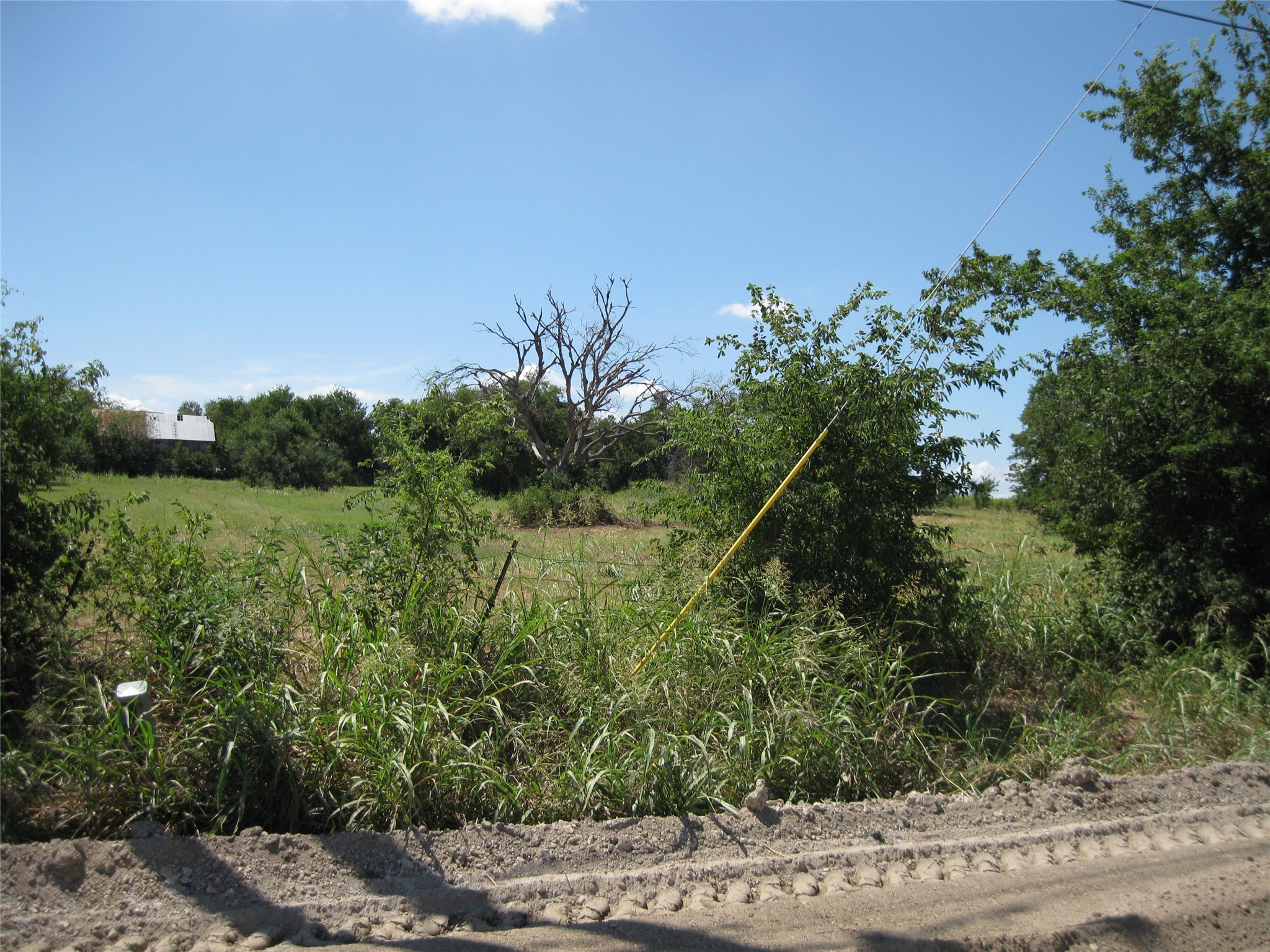 0 County Road 133 Road Hutto, TX 78634 - Photo 2 of 7 a backyard of a house with lots of green space