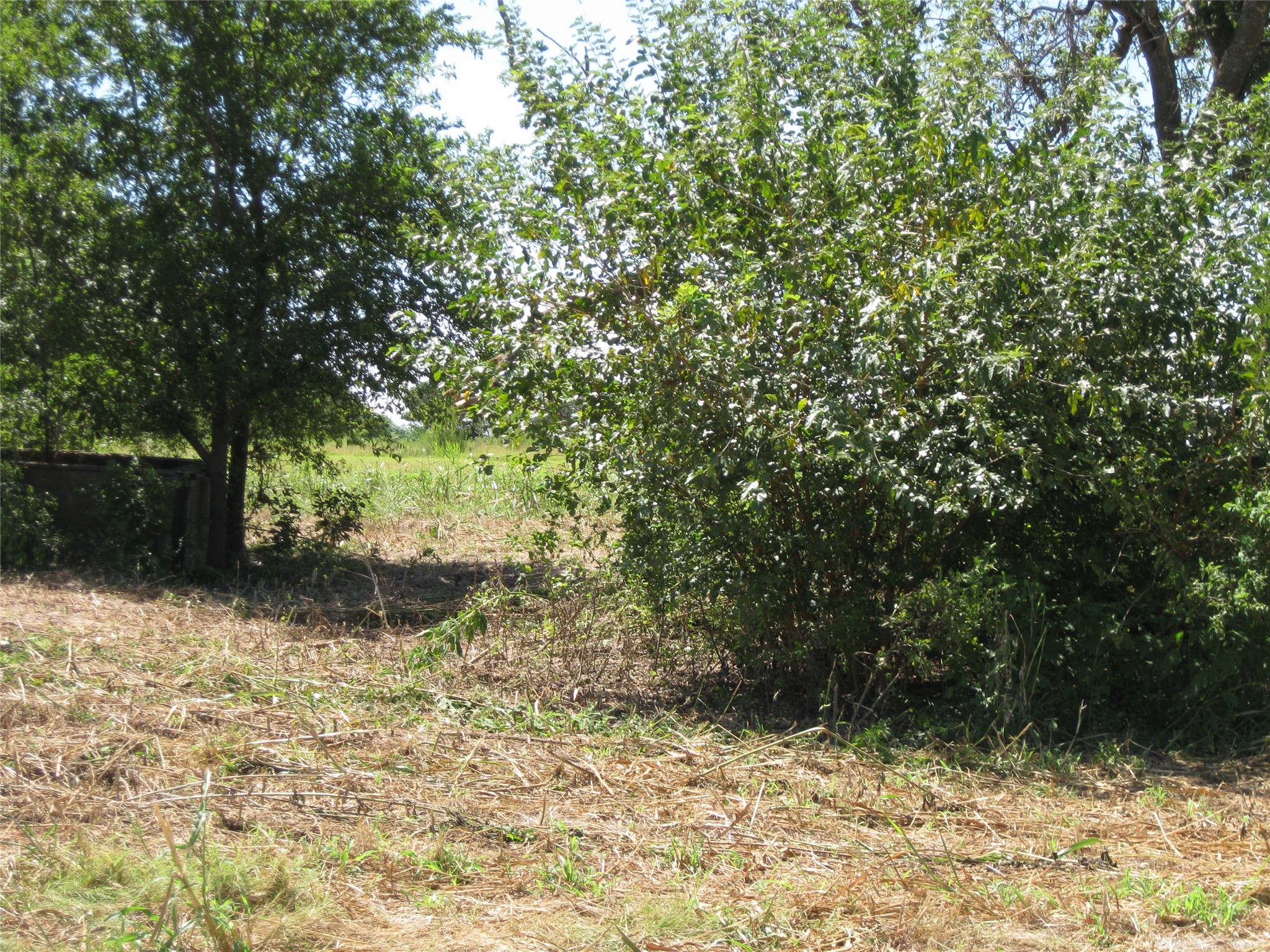 0 County Road 133 Road Hutto, TX 78634 - Photo 4 of 7 a backyard of a house with lots of green space