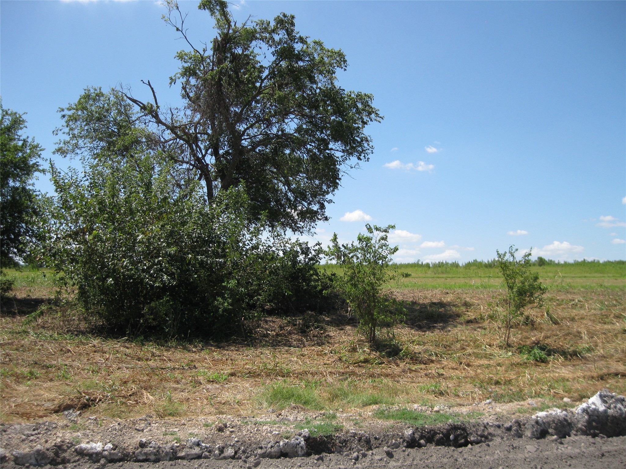 0 County Road 133 Road Hutto, TX 78634 - Photo 5 of 7 a view of lake view with large tree