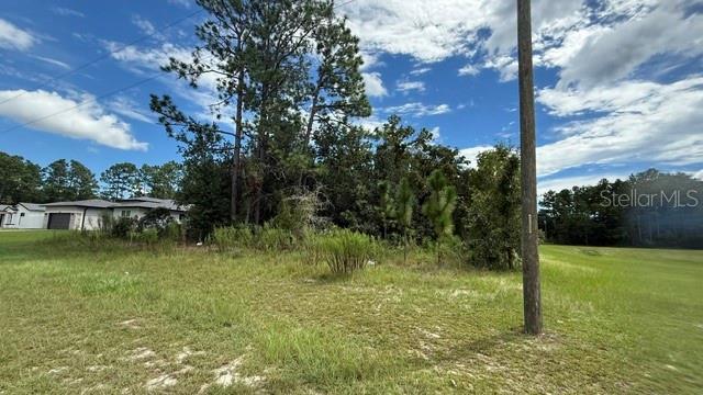 3 Southwest 140th Place Road Ocala, FL 34473 - Photo 7 of 10 Gallery Image 7