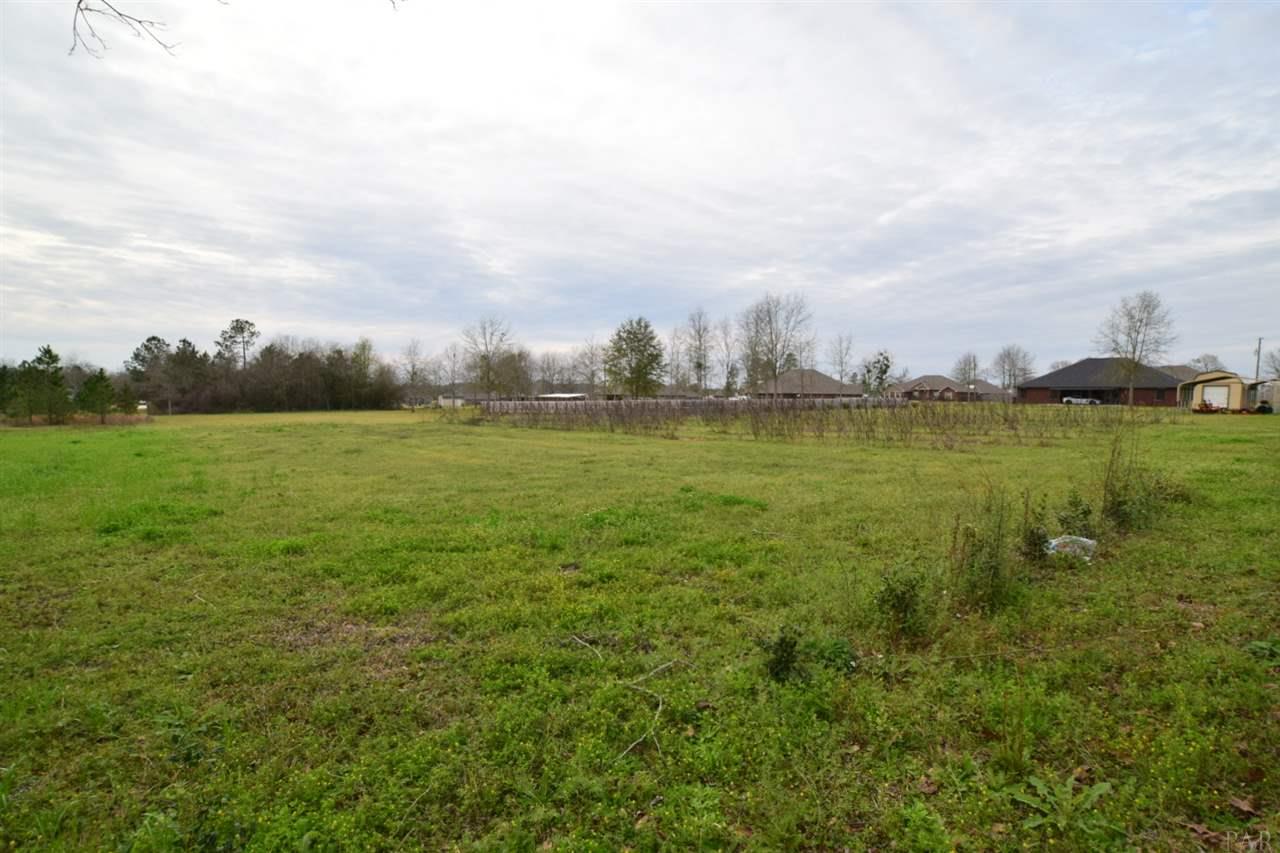 0 Farm Road Jay, FL 32565 - Photo 4 of 21