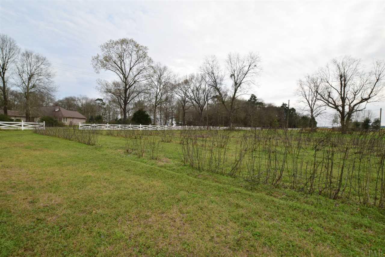 0 Farm Road Jay, FL 32565 - Photo 8 of 21