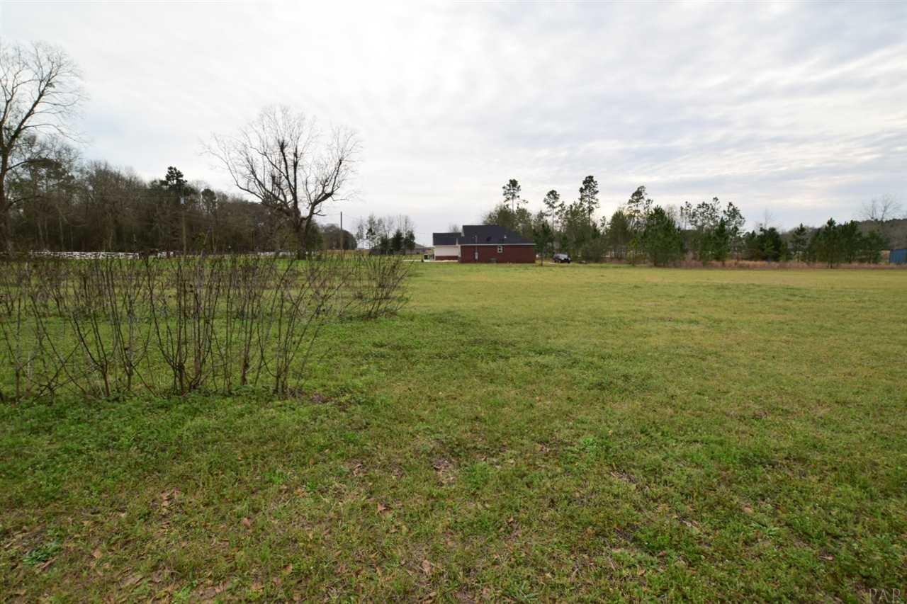 0 Farm Road Jay, FL 32565 - Photo 10 of 21