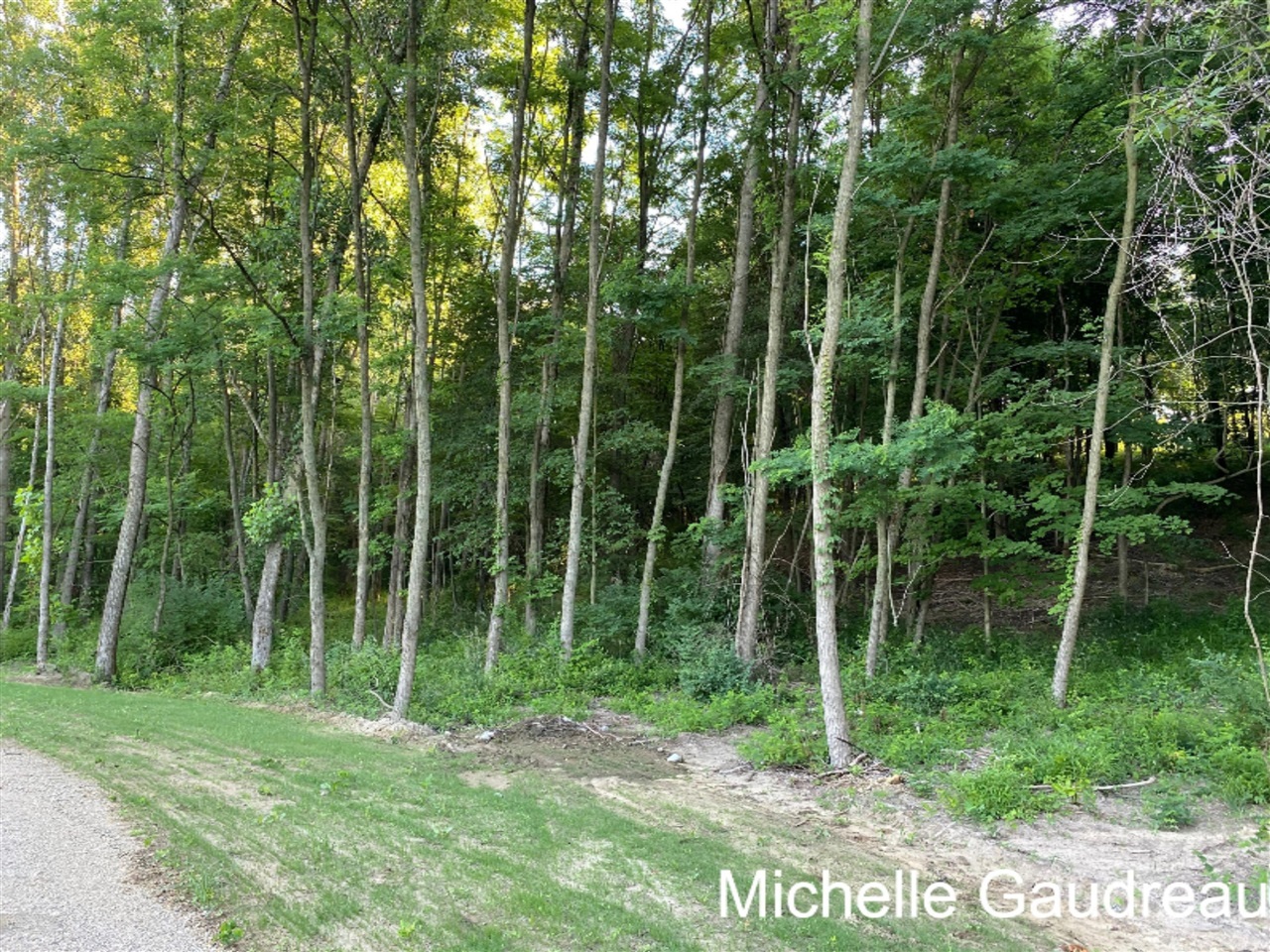 North N Ridge, Unit PARCEL 8 Middleville, MI 49333 - Photo 7 of 9