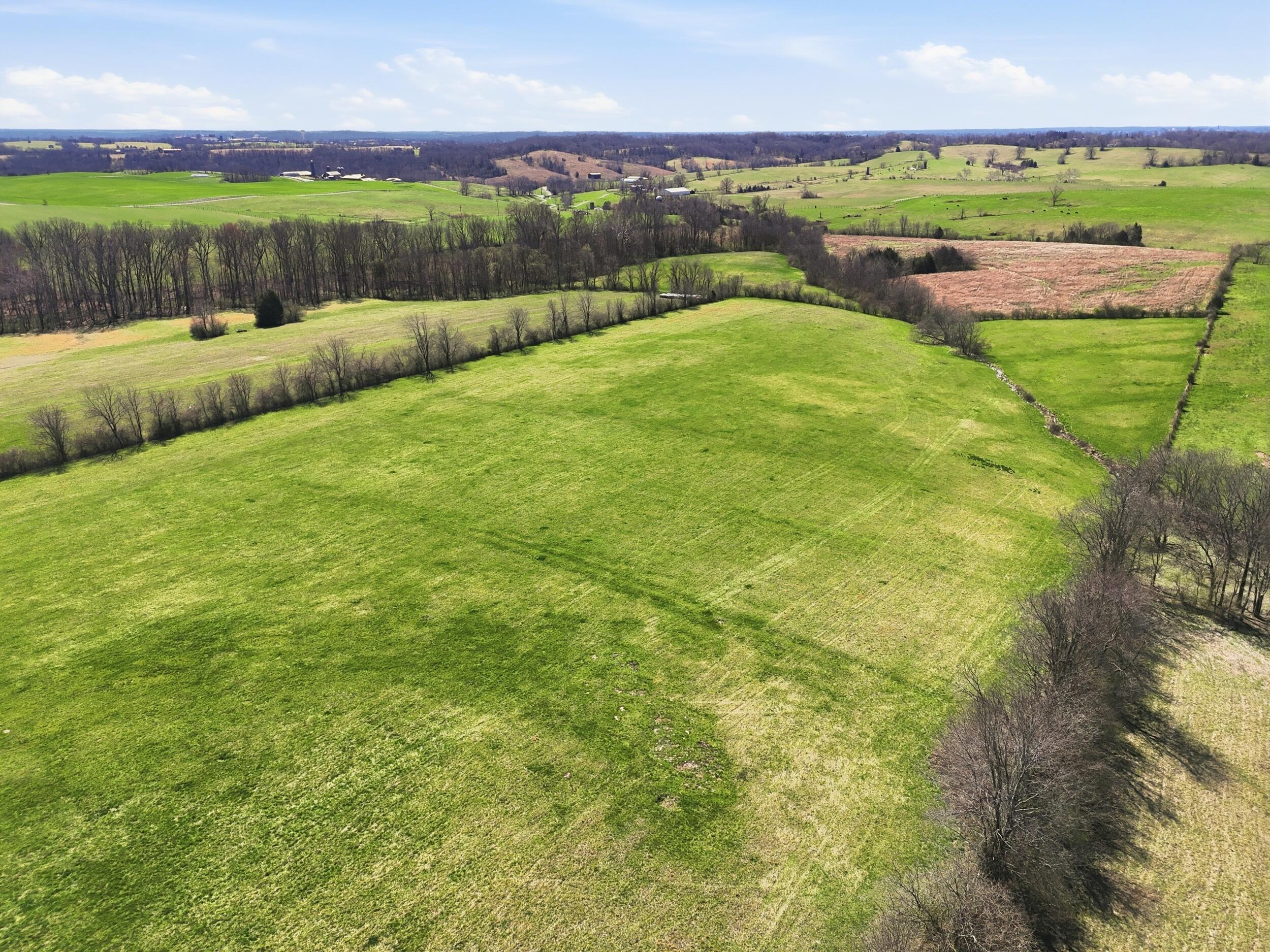 1702 Clifton Road Lawrenceburg, KY 40342 - Photo 3 of 12 29_dji_fly_4.1