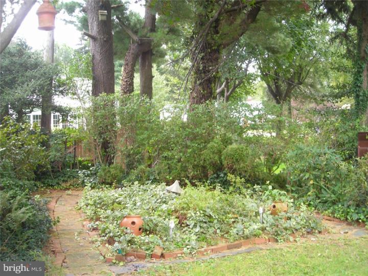 724 Norfolk Road Jenkintown, PA 19046 - Photo 7 of 18 Gallery Image 7