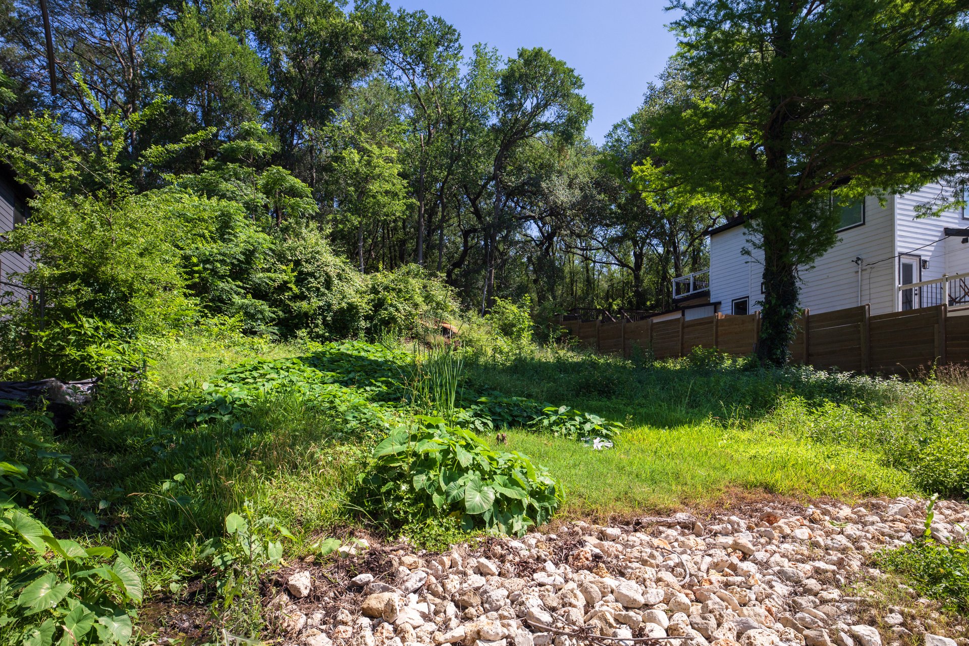 3600 Oak Springs Drive Austin, TX 78721 - Photo 5 of 22 Backing to a wooded greenspace for additional privacy.