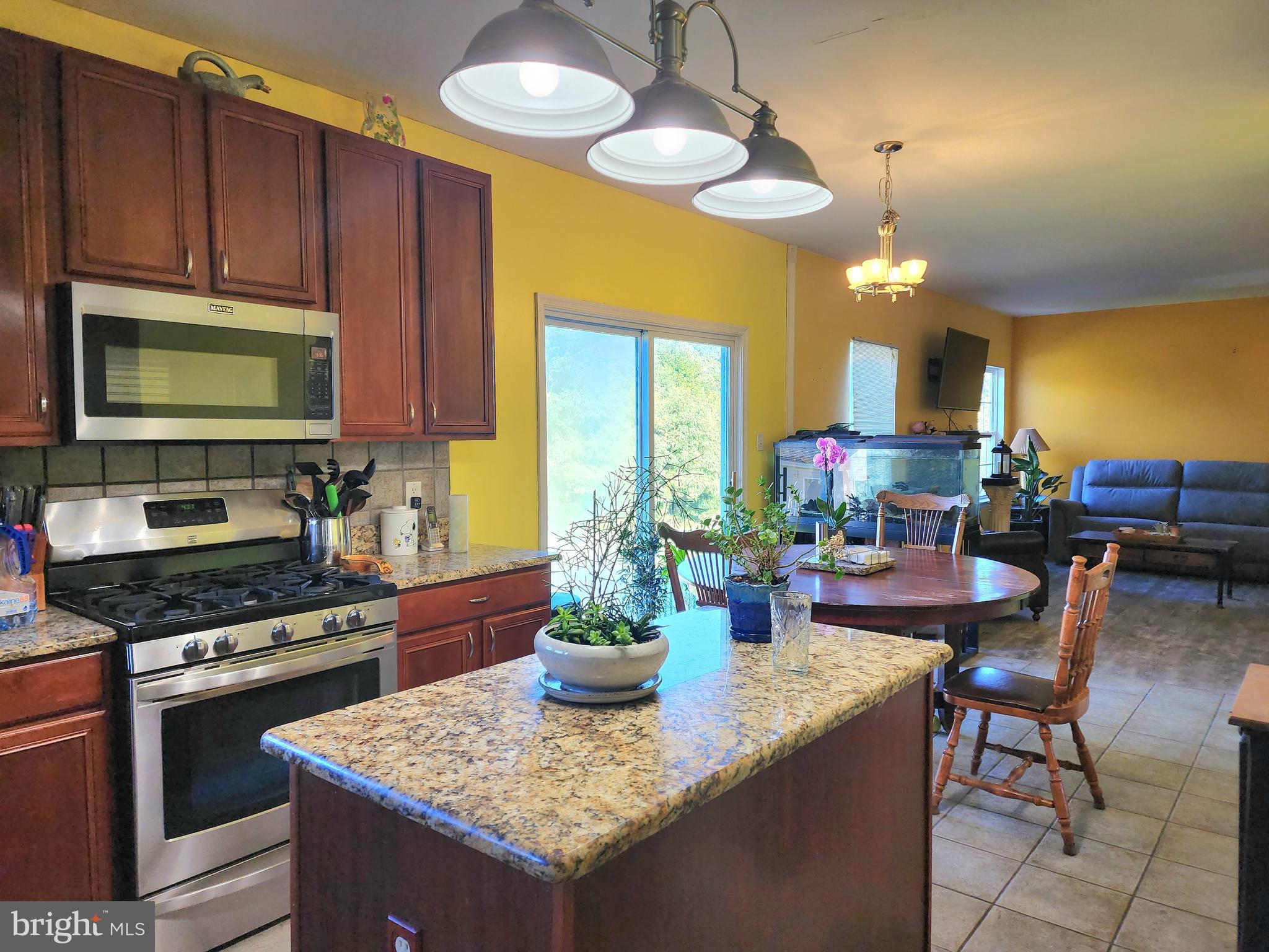 33 Mailly Drive Townsend, DE 19734 - Photo 17 of 46 Kitchen