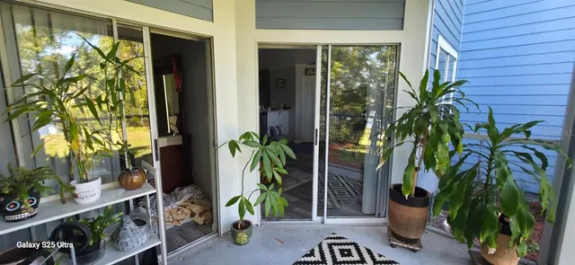 a view of a plant in front of a house