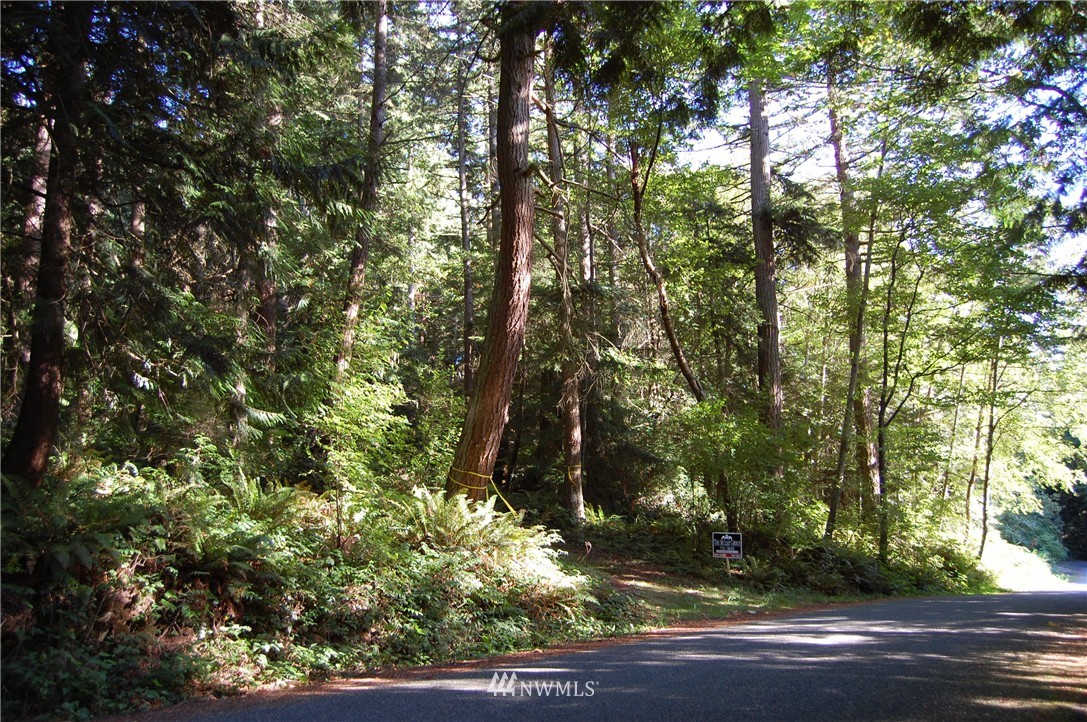 500 Whitecap Road Bellingham, WA 98229 - Photo 4 of 4