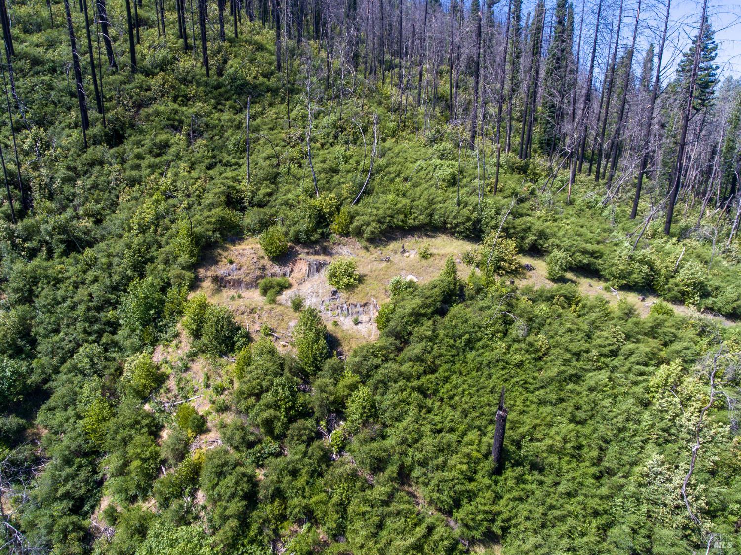 8300-8250 St Helena Road Santa Rosa, CA 95404 - Photo 9 of 26 a view of a lush green forest