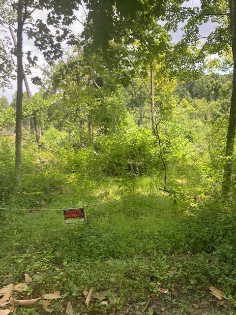 0 East Fork Road Laurelville, OH 43135 - Photo 1 of 16 IMG_1555