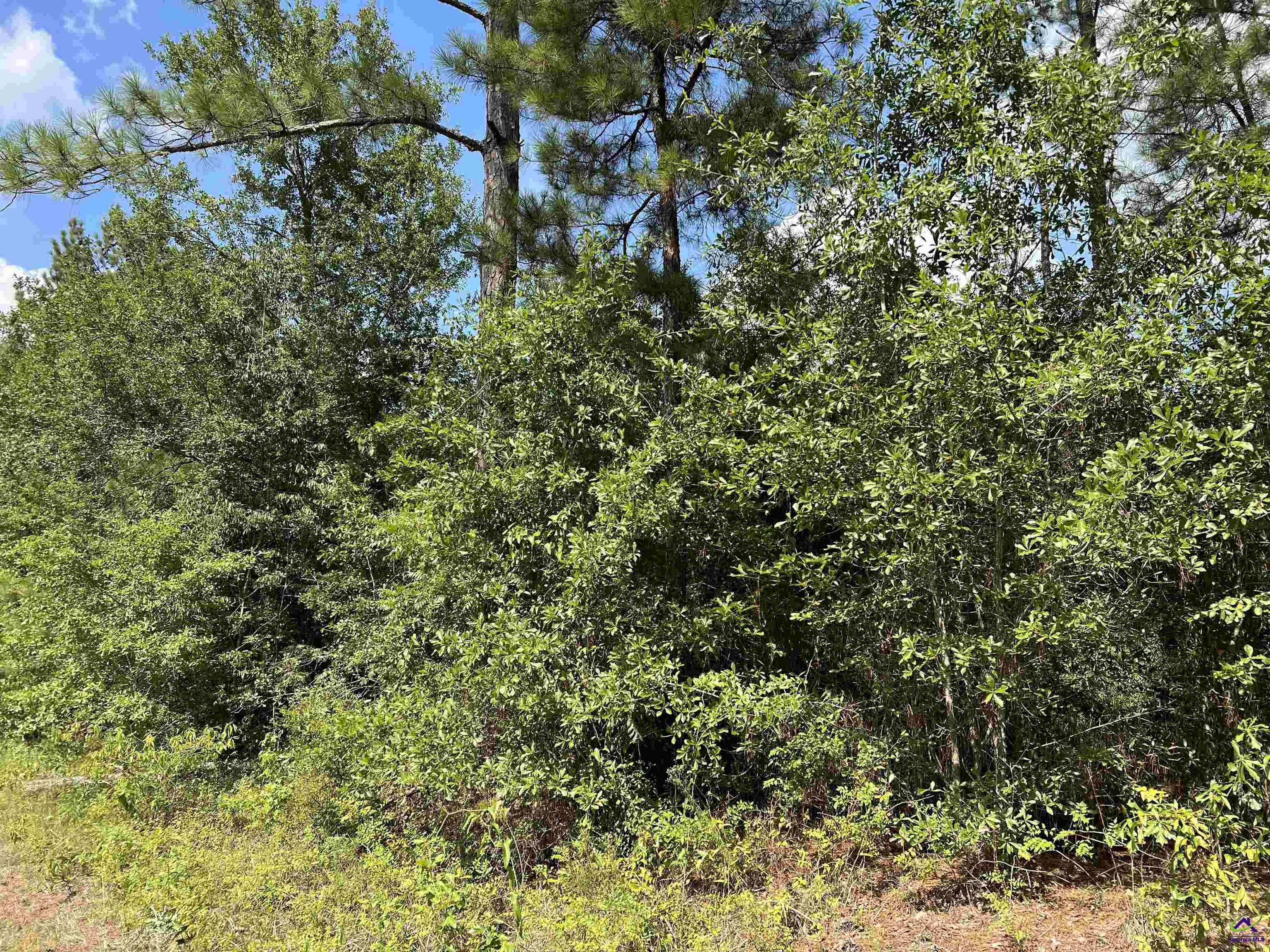 Blue Springs Road Hawkinsville, GA 31036 - Photo 2 of 4