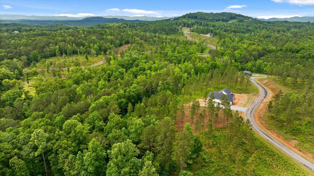 Lot 331 Twisted Oak Road Talking Rock, GA 30175 - Photo 17 of 38 Gallery Image 17