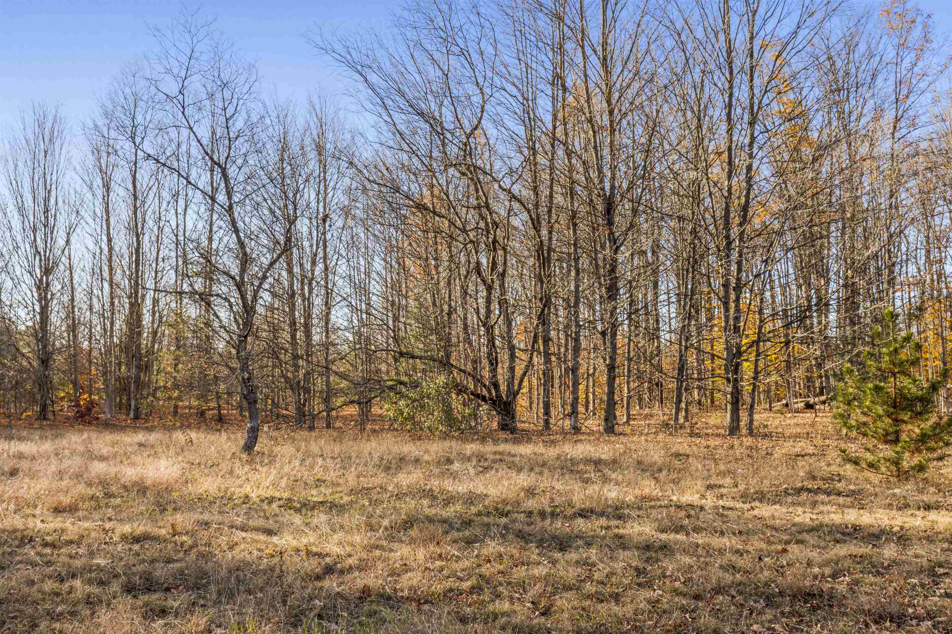 0 South Weldon Road Beulah, MI 49617 - Photo 6 of 37