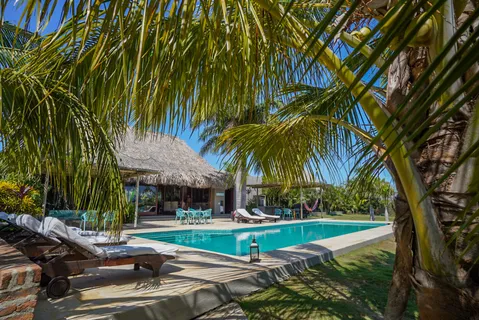 a view of a swimming pool with a garden and trees
