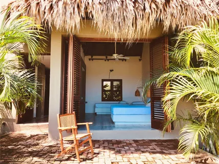a view of walk in closet with clothes and plants