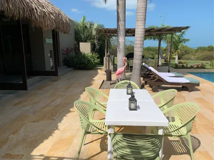 a view of a patio with table and chairs potted plants