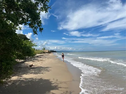 a view of a lake view