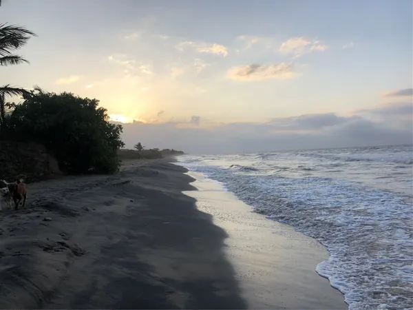 a view of beach and ocean