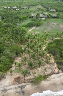 a view of a lush green space