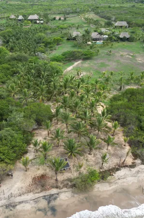 a view of a lush green space