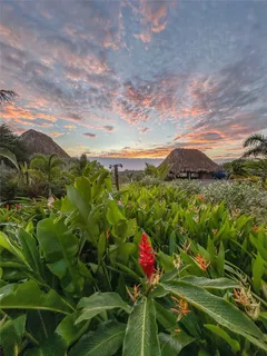 a view of a flower in a garden