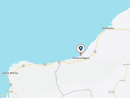 a close up of a wall with a potted plant