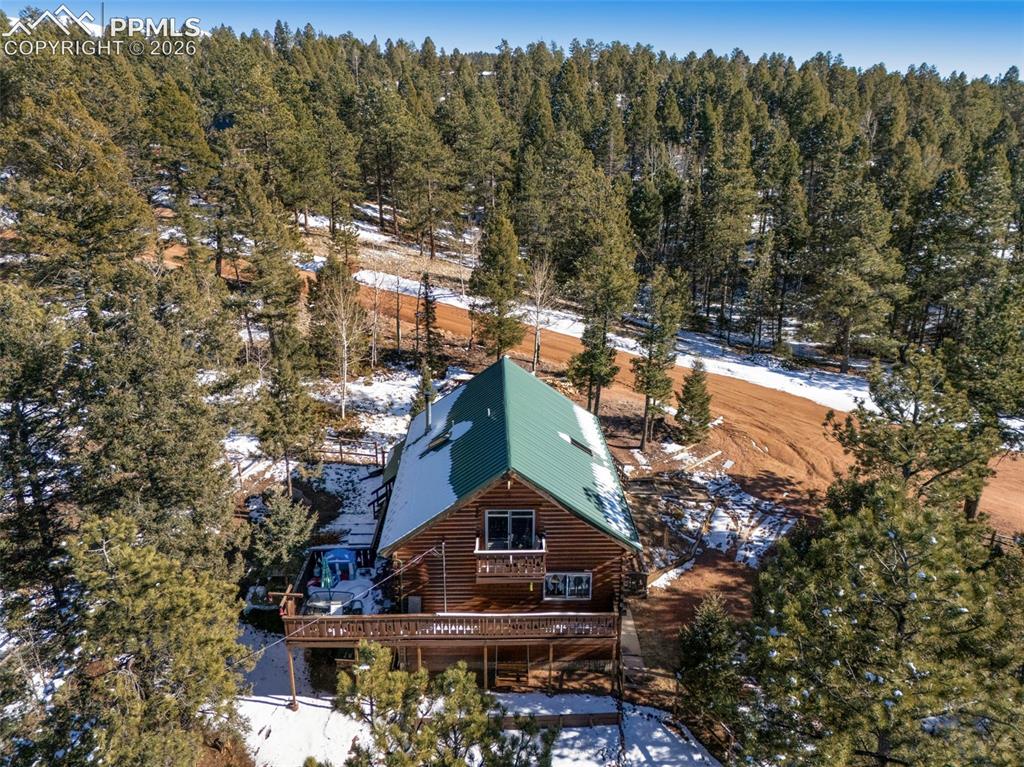 1276 Pinewood Road Florissant, CO 80816 - Photo 28 of 31