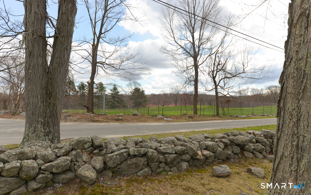 Lot 3 Southwest Road Waterbury, CT 06708 - Photo 2 of 2 a view of dirt yard with a large tree