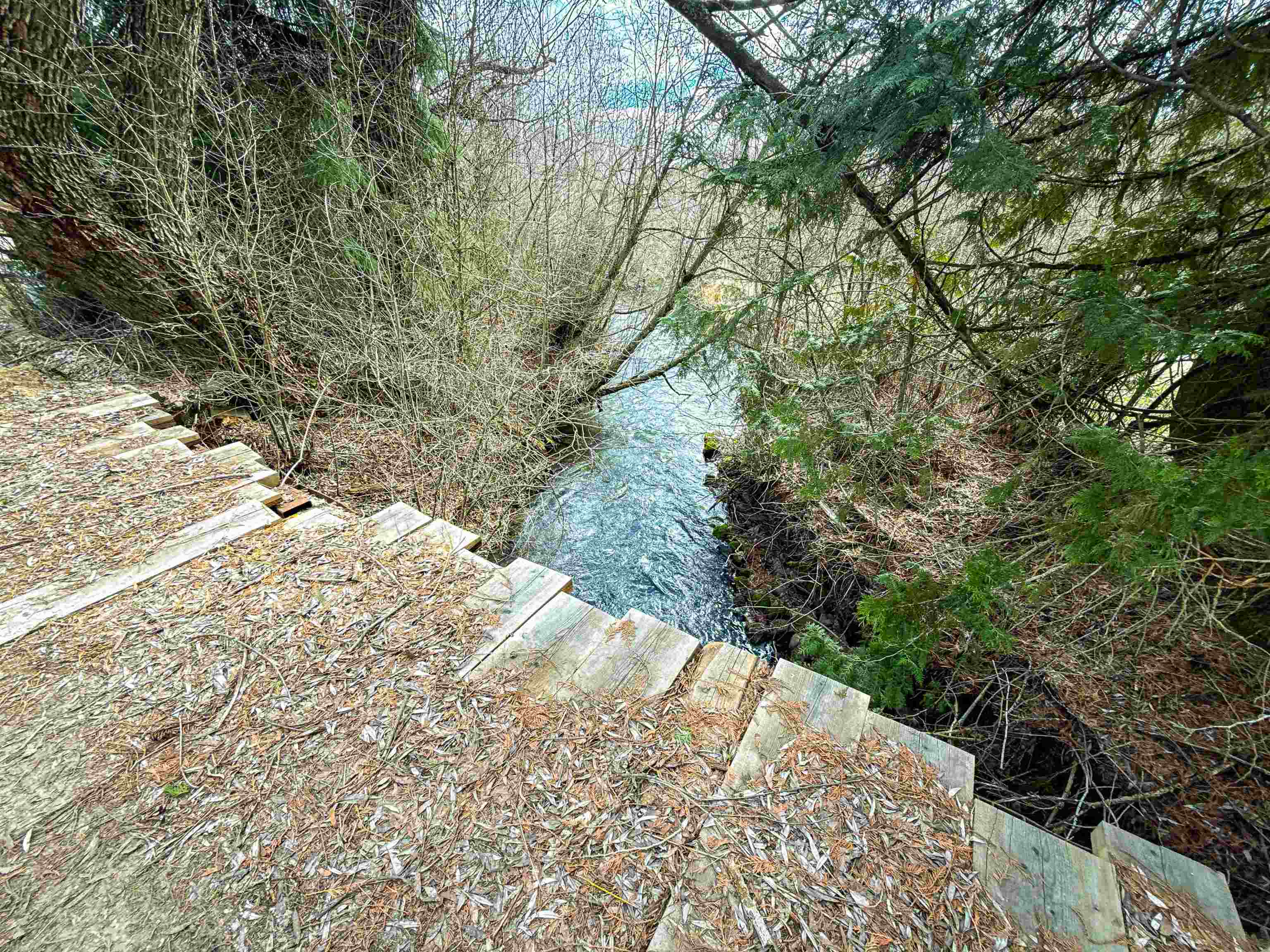 901 Skookum Creek Road Usk, WA 99180 - Photo 30 of 50