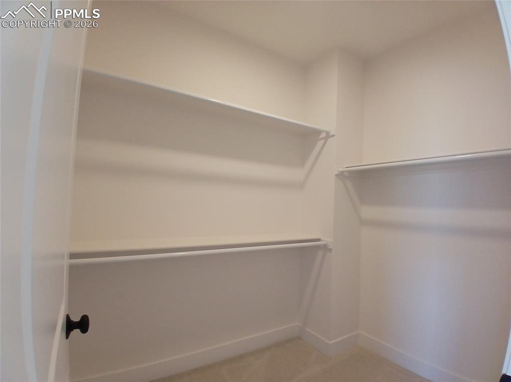 19981 Cloudfield Point Colorado Springs, CO 80928 - Photo 16 of 42 a close view of closet