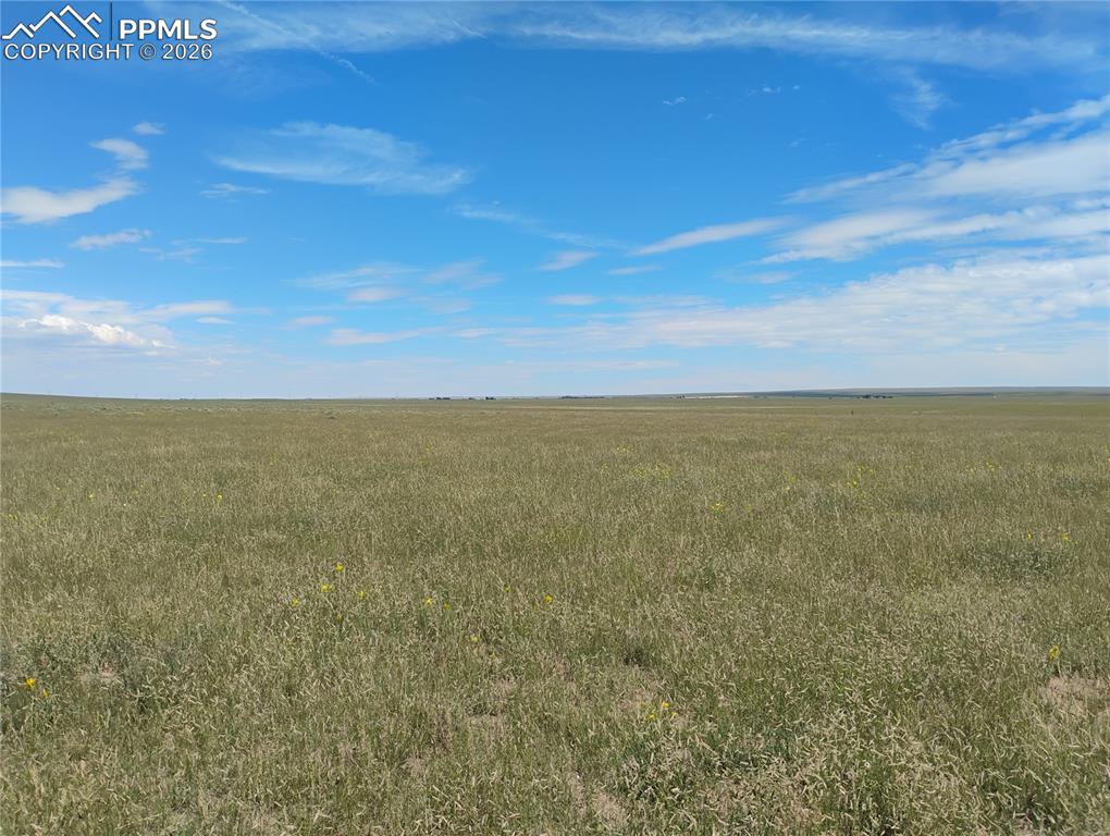 19981 Cloudfield Point Colorado Springs, CO 80928 - Photo 27 of 42 a view of an ocean