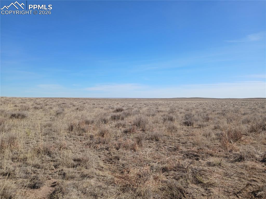 19981 Cloudfield Point Colorado Springs, CO 80928 - Photo 32 of 42 a view of a field