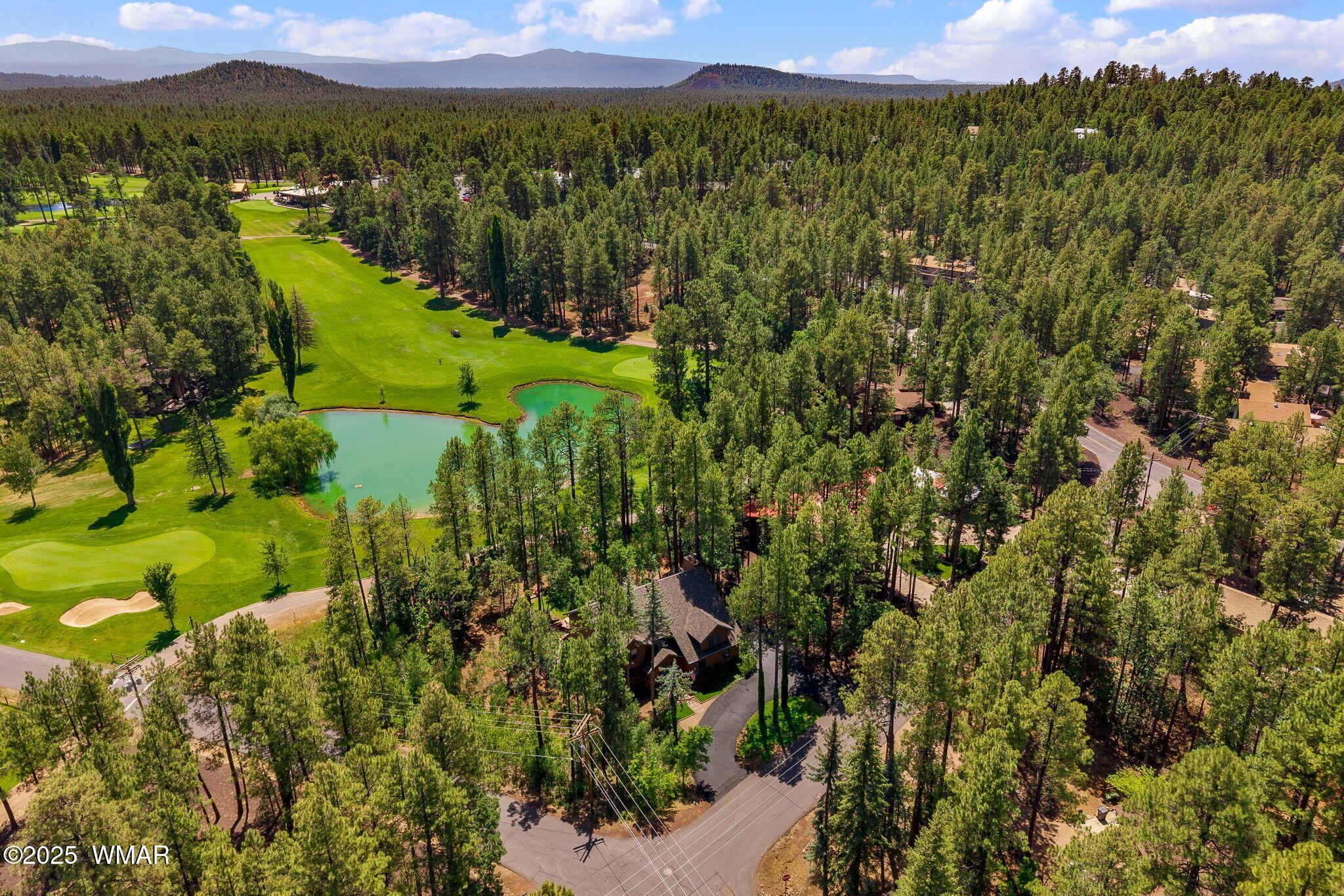 6503 Buck Springs Road Pinetop, AZ 85935 - Photo 46 of 58