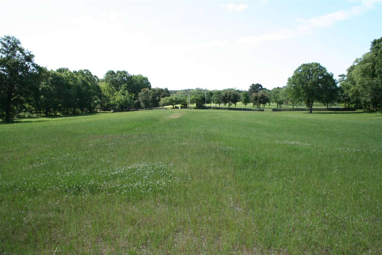 0 Highland Meadow Road, Unit METES AND BOUNDS Flora, MS 39071 - Photo 1 of 12 Photo 1