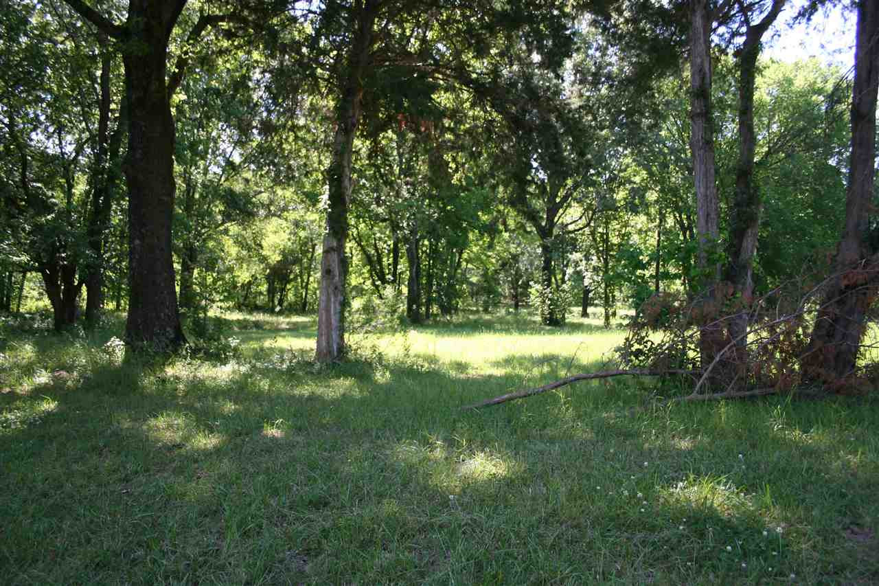 0 Highland Meadow Road, Unit METES AND BOUNDS Flora, MS 39071 - Photo 3 of 12 Photo 3