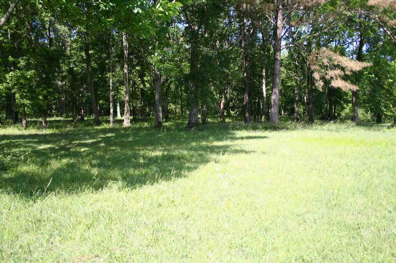 0 Highland Meadow Road, Unit METES AND BOUNDS Flora, MS 39071 - Photo 6 of 12 Photo 6