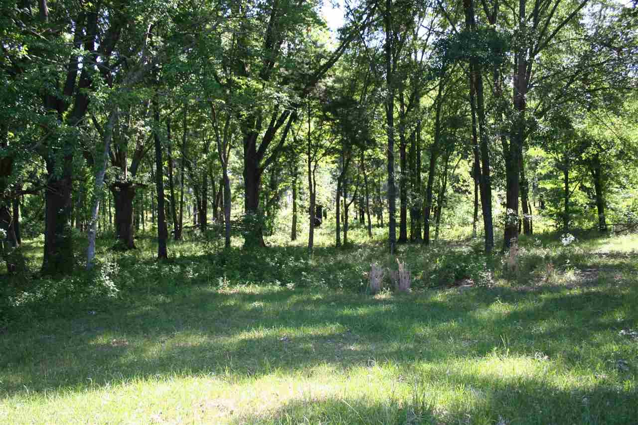 0 Highland Meadow Road, Unit METES AND BOUNDS Flora, MS 39071 - Photo 7 of 12 Photo 8