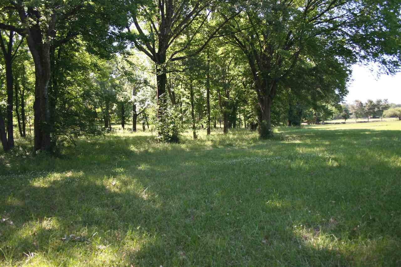 0 Highland Meadow Road, Unit METES AND BOUNDS Flora, MS 39071 - Photo 8 of 12 Photo 9
