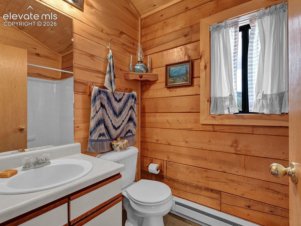 1462 Pulver Road Lake George, CO 80827 - Photo 18 of 25 a bathroom with a sink a toilet and shower