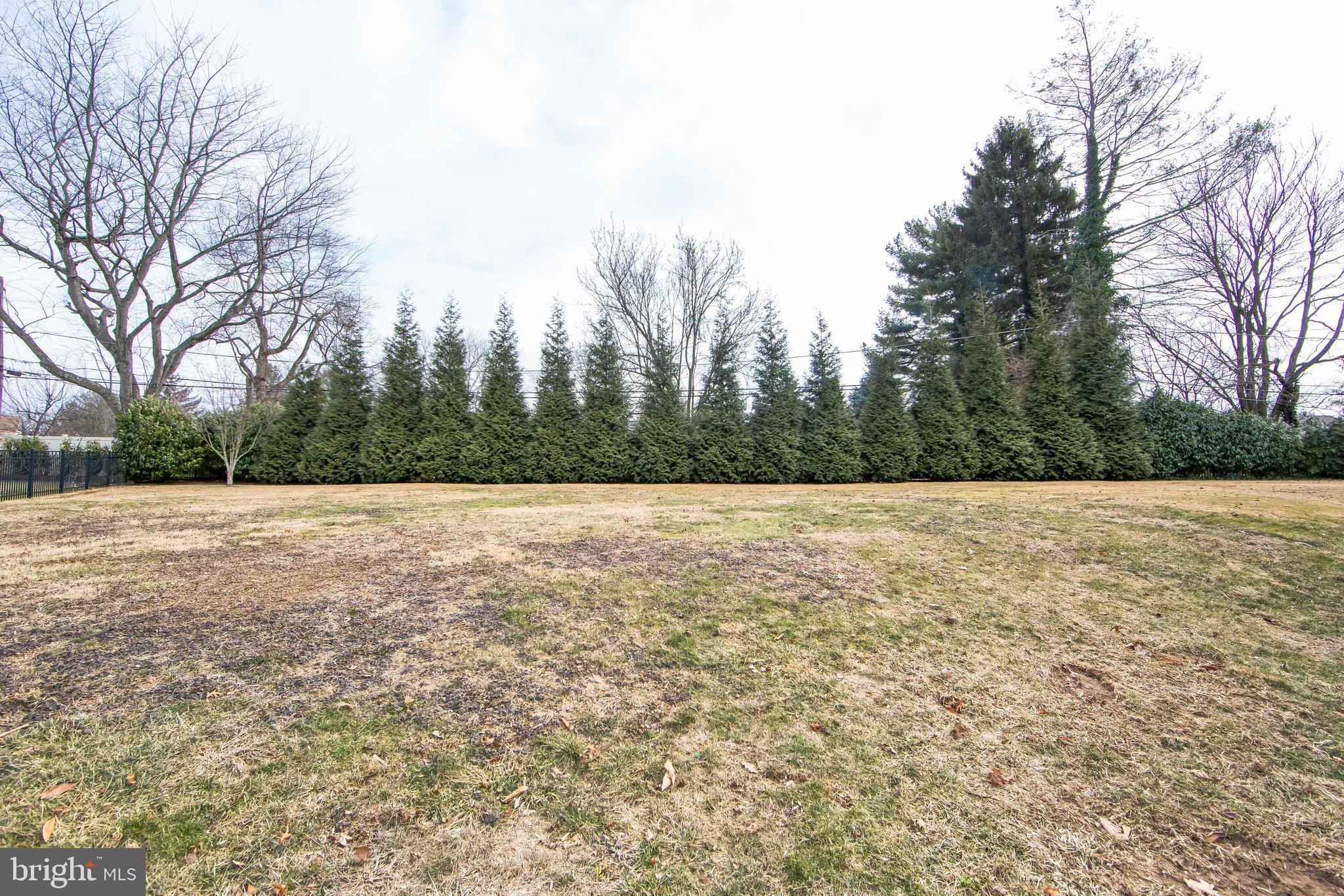 131 Clover Hill Lane Wayne, PA 19087 - Photo 42 of 50 a view of outdoor space and yard