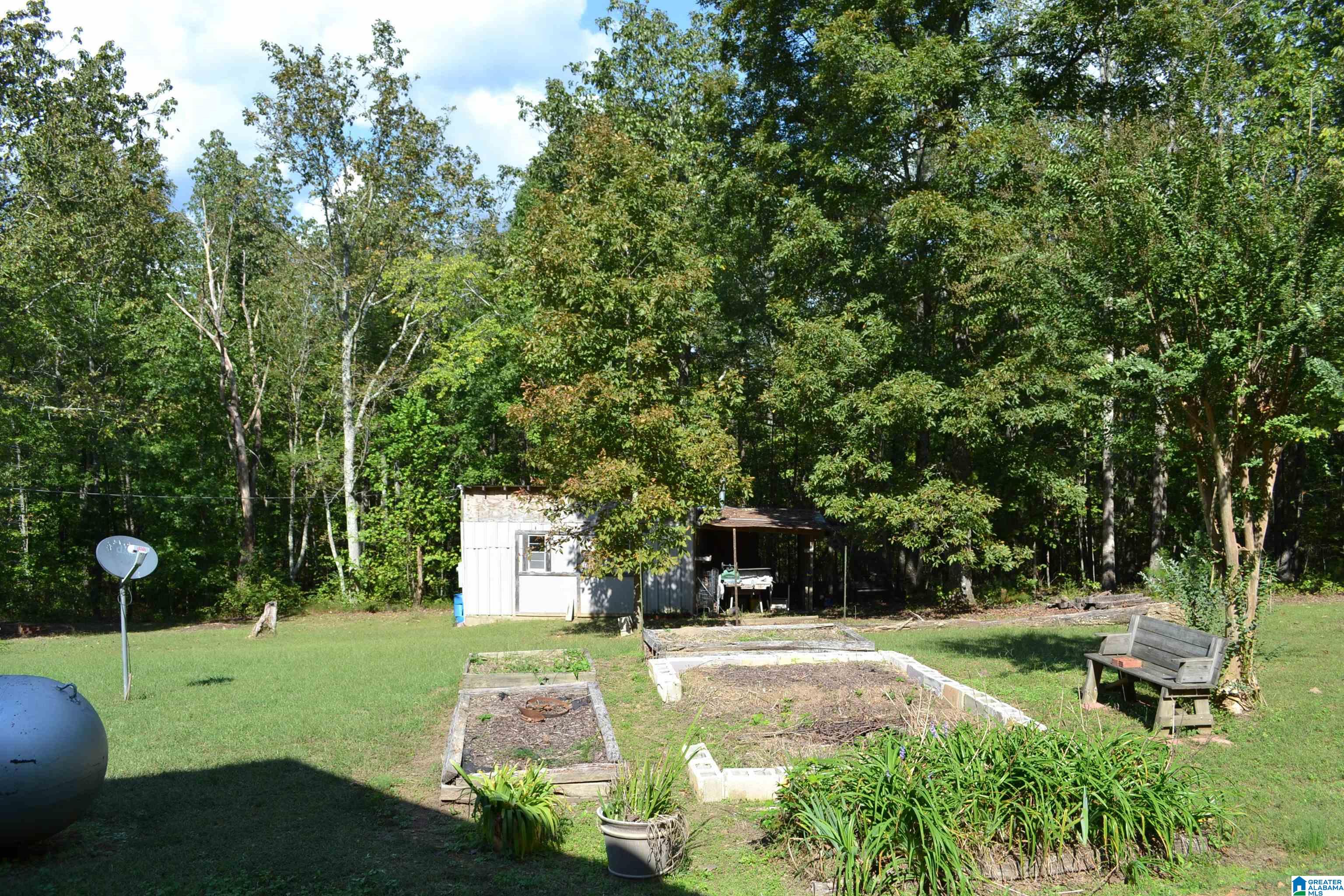 4348 Red Valley Road Remlap, AL 35133 - Photo 64 of 69