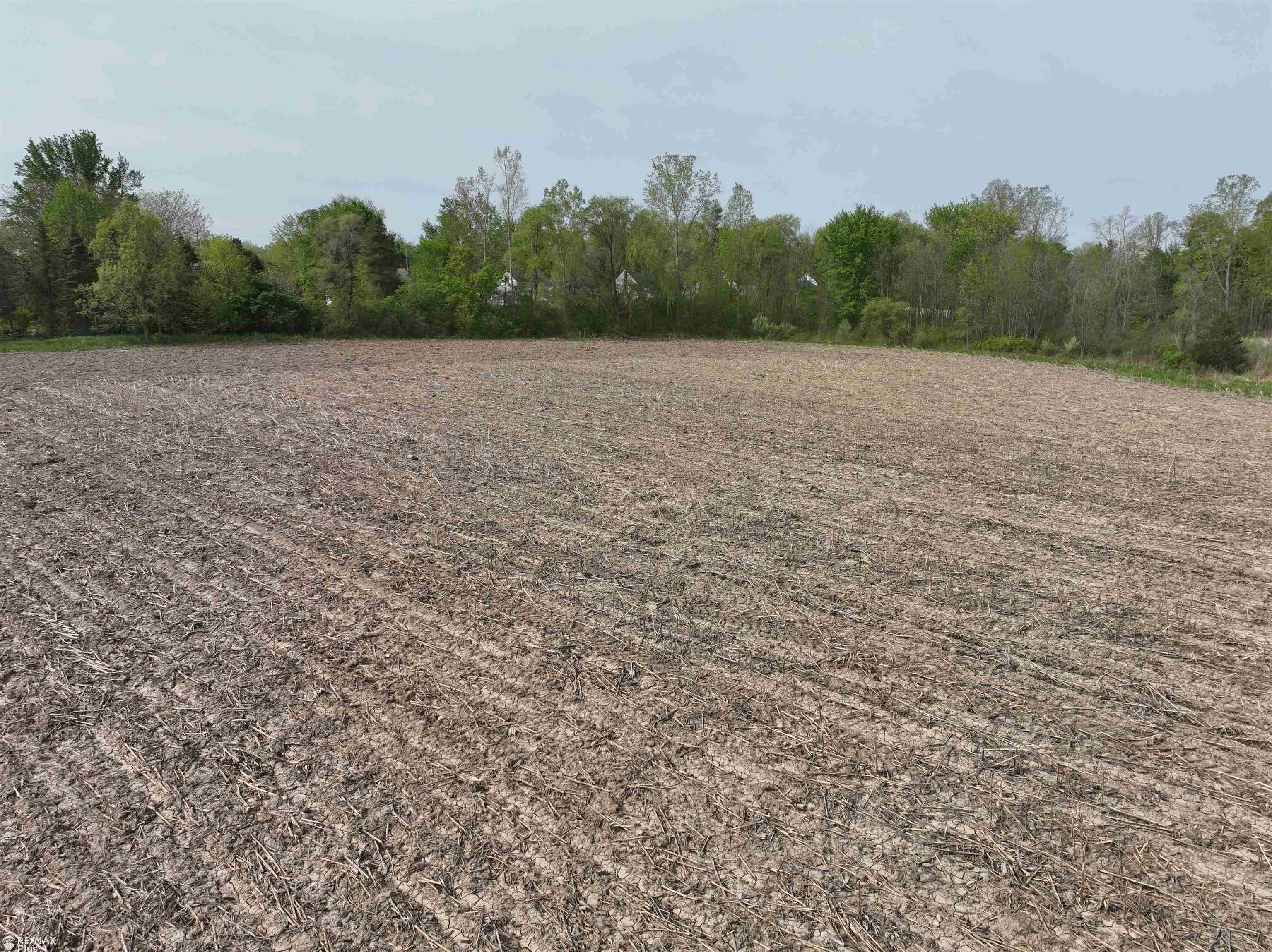 0 Mayfield Road Lapeer, MI 48446 - Photo 9 of 21 50107842-8.JPG
