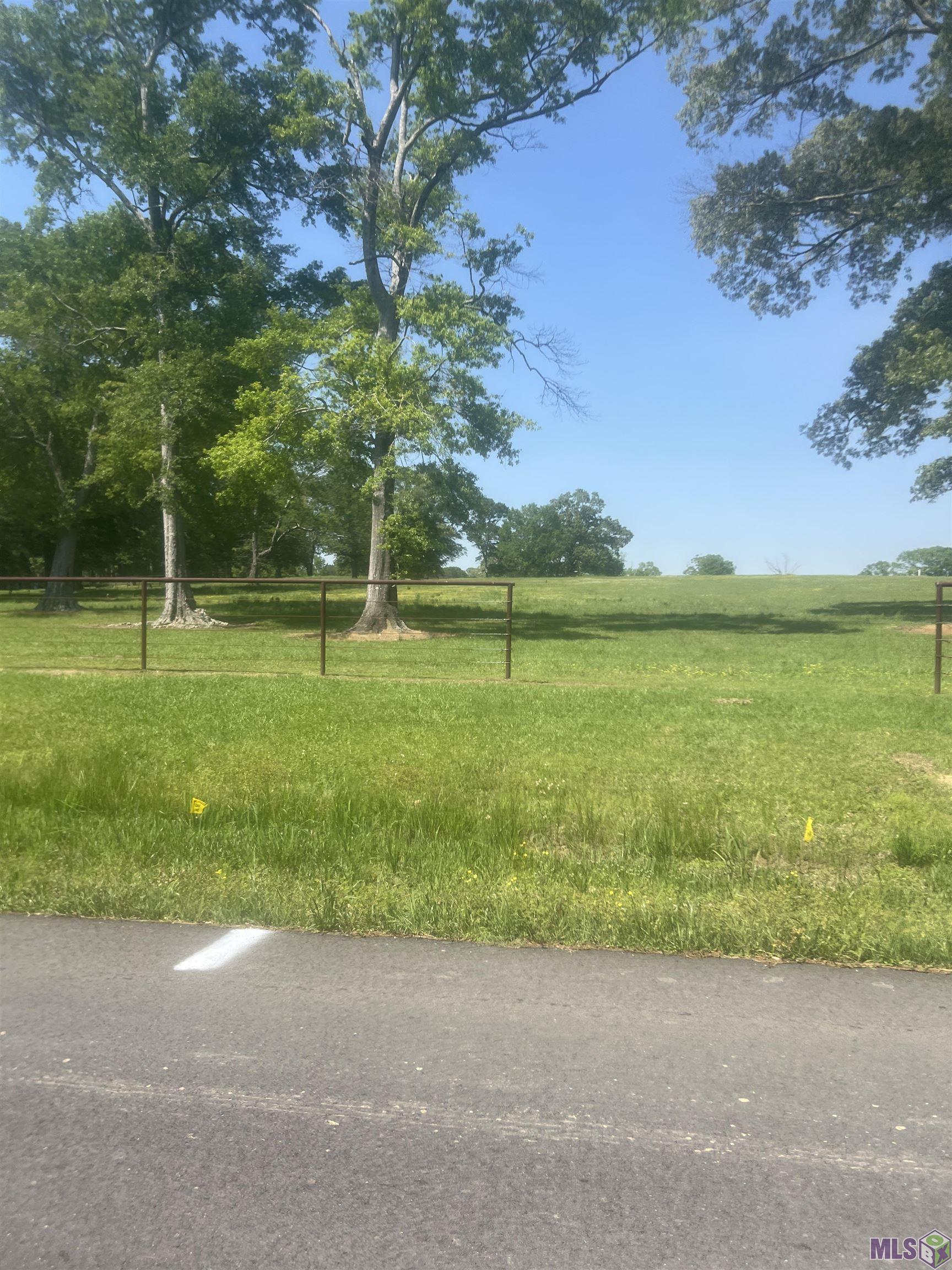 Tract U-1 Gross Road Clinton, LA 70722 - Photo 4 of 4